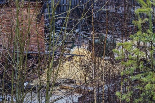 Абсурдные новости. 14 января 2017 года