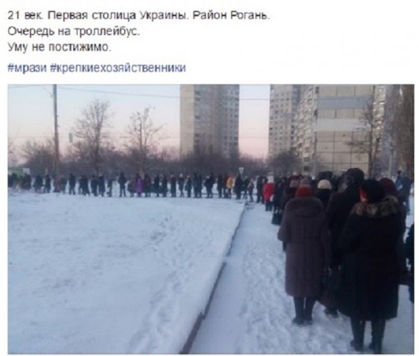 "Мыздобулы" в картинках. Смешных и не очень... 15-01-2017