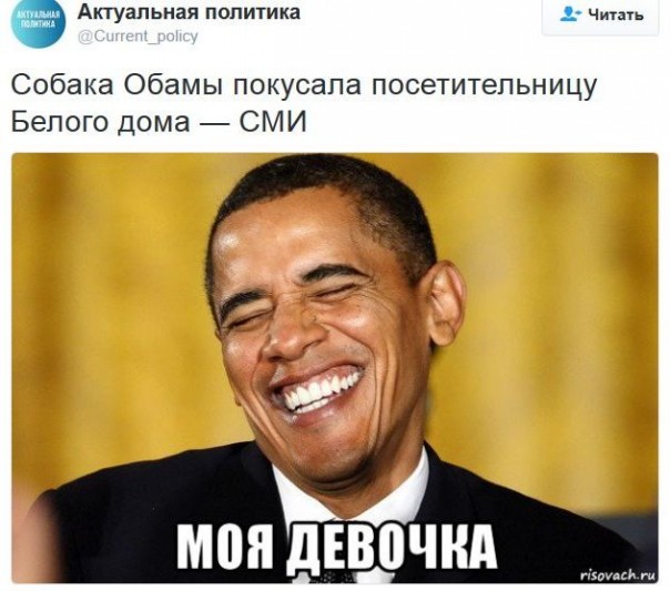"Мыздобулы" в картинках. Смешных и не очень... 15-01-2017
