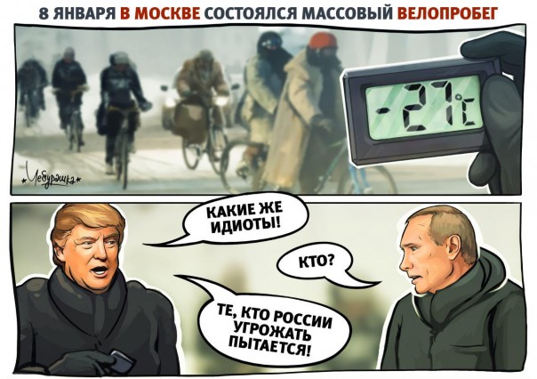 "Мыздобулы" в картинках. Смешных и не очень... 16-01-2017