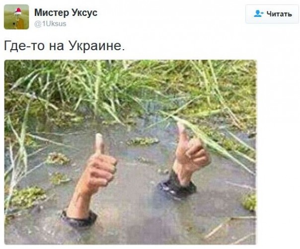"Мыздобулы" в картинках. Смешных и не очень... 17-01-2017