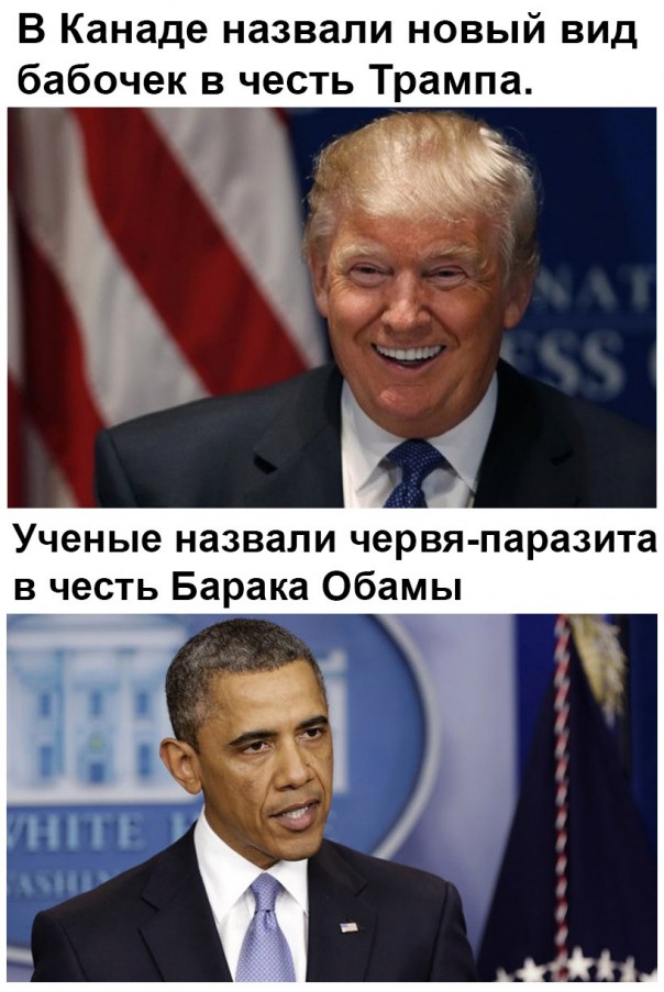 "Мыздобулы" в картинках. Смешных и не очень... 20-01-2017 "Мыздобулы" в картинках. Смешных и не очень... 20-01-2017