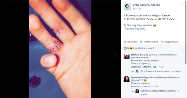 Во Флориде аллигатор покусал сына Виталия Кличко Во Флориде аллигатор покусал сына Виталия Кличко