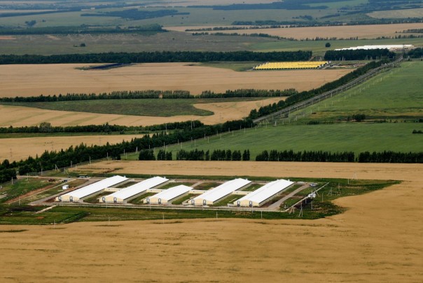 "Ватный" газопровод или Откуда у русских руки растут. Время-вперёд! 227