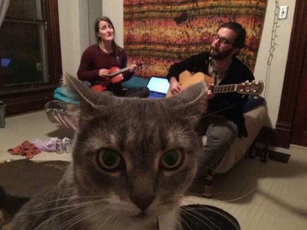 Звериное селфи: в сети набирает популярность новый тренд Звериное селфи: в сети набирает популярность новый тренд