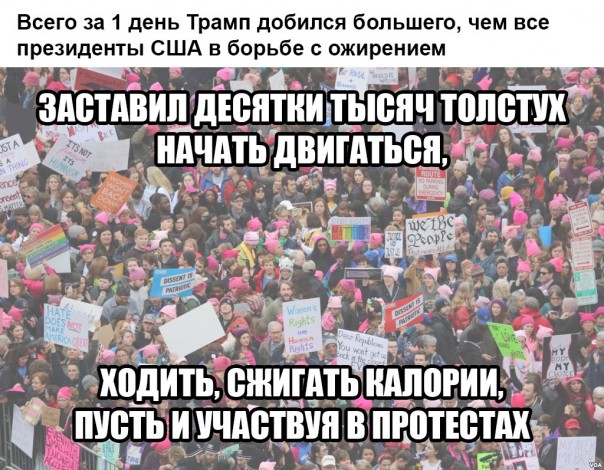 "Мыздобулы" в картинках. Смешных и не очень... 24-01-2017