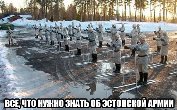 "Мыздобулы" в картинках. Смешных и не очень... 24-01-2017