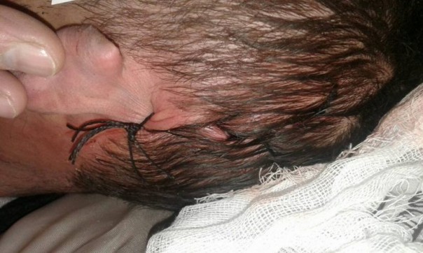 Скандал в парке львов в Крыму: Животное убило человека, происшествие пытались скрыть 18+ Скандал в парке львов в Крыму: Животное убило человека, происшествие пытались скрыть 18+