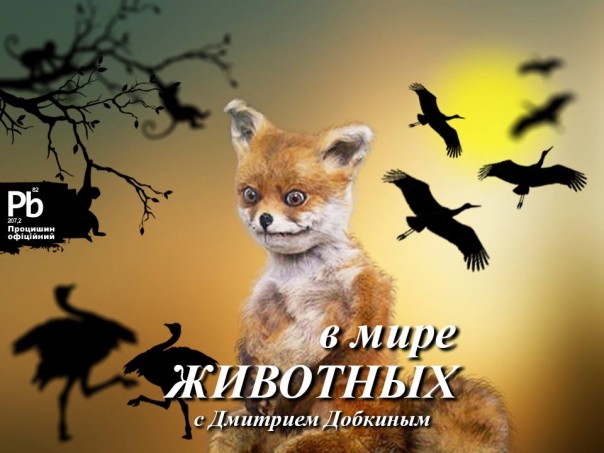 Популярные телешоу с украинскими политиками /Фото/ Популярные телешоу с украинскими политиками /Фото/