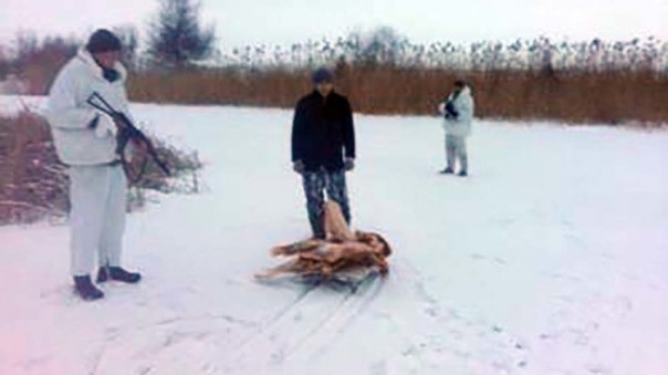 Украинские саночники с тушами мяса попались на границе с Россией Украинские саночники с тушами мяса попались на границе с Россией