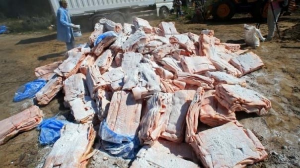 Украинские саночники с тушами мяса попались на границе с Россией