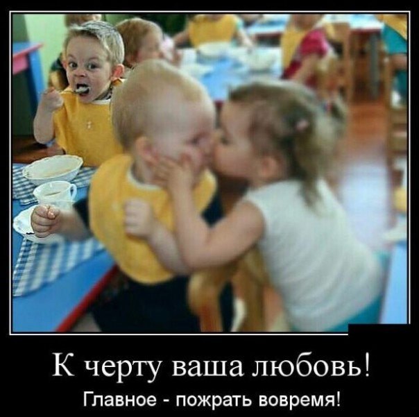 "Мыздобулы" в картинках. Смешных и не очень... 26-01-2017 "Мыздобулы" в картинках. Смешных и не очень... 26-01-2017