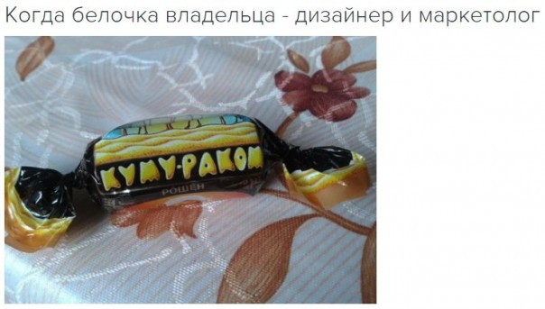 "Мыздобулы" в картинках. Смешных и не очень... 26-01-2017 "Мыздобулы" в картинках. Смешных и не очень... 26-01-2017