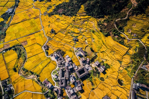 Выше и дальше: победители международного конкурса фотографий, выполненных с дронов (2016). Выше и дальше: победители международного конкурса фотографий, выполненных с дронов (2016).