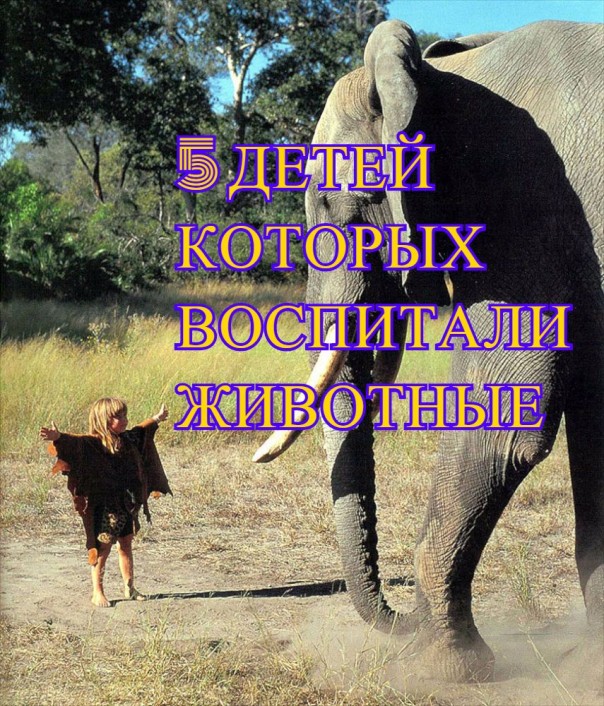 Дети, воспитанные животными