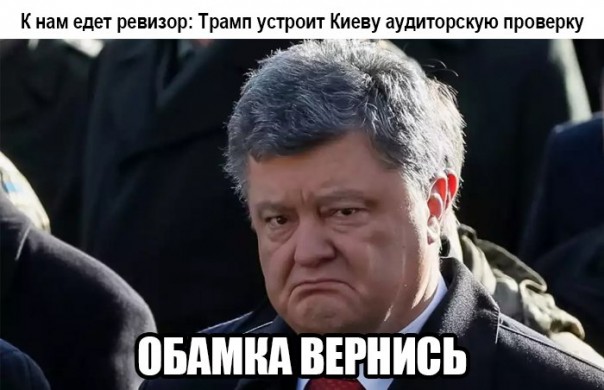 "Мыздобулы" в картинках. Смешных и не очень... 29-01-2017