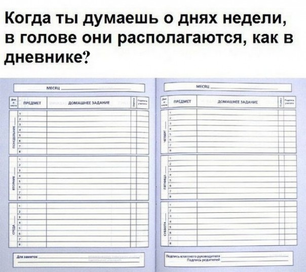 "Мыздобулы" в картинках. Смешных и не очень... 29-01-2017