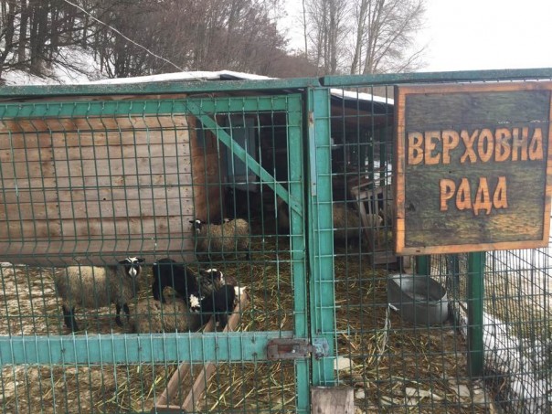 "Мыздобулы" в картинках. Смешных и не очень... 30-01-2017 "Мыздобулы" в картинках. Смешных и не очень... 30-01-2017