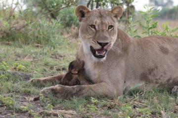 Удивительное - рядом