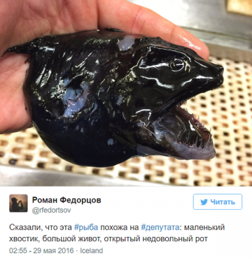 Невероятные монстры: российский моряк публикует снимки самых диковинных существ, попадающих в сети