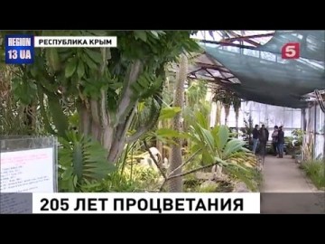 В Крыму Никитский ботанический сад отмечает большой юбилей: 205 лет процветания