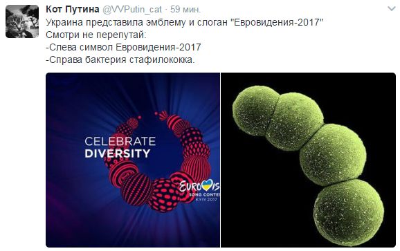 "Мыздобулы" в картинках. Смешных и не очень... 2-02-2017