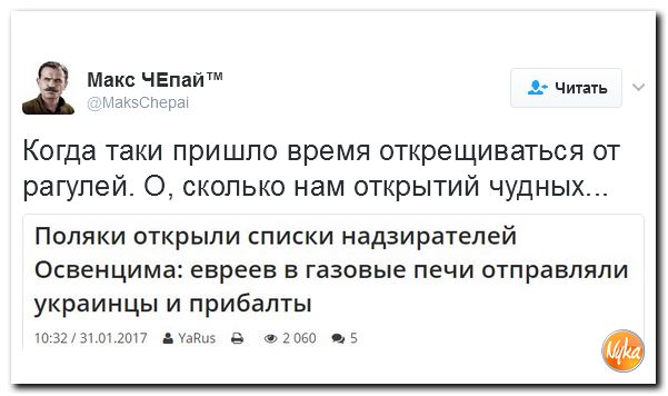 "Мыздобулы" в картинках. Смешных и не очень... 2-02-2017