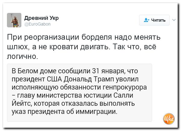 "Мыздобулы" в картинках. Смешных и не очень... 2-02-2017