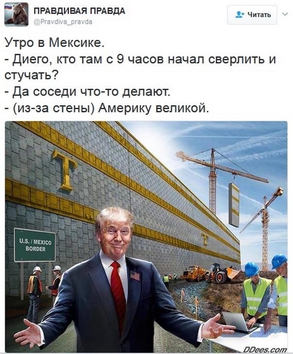 "Мыздобулы" в картинках. Смешных и не очень... 2-02-2017