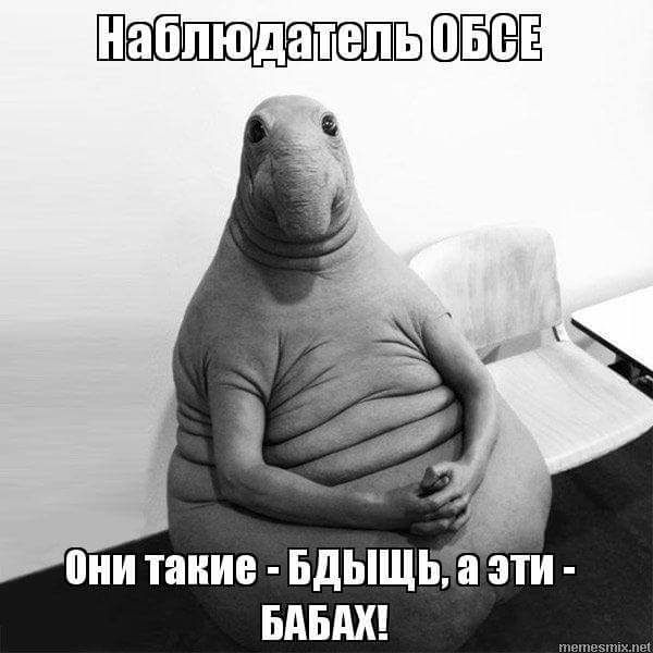 "Мыздобулы" в картинках. Смешных и не очень... 2-02-2017