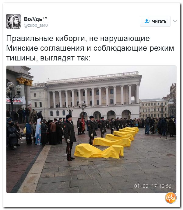"Мыздобулы" в картинках. Смешных и не очень... 2-02-2017