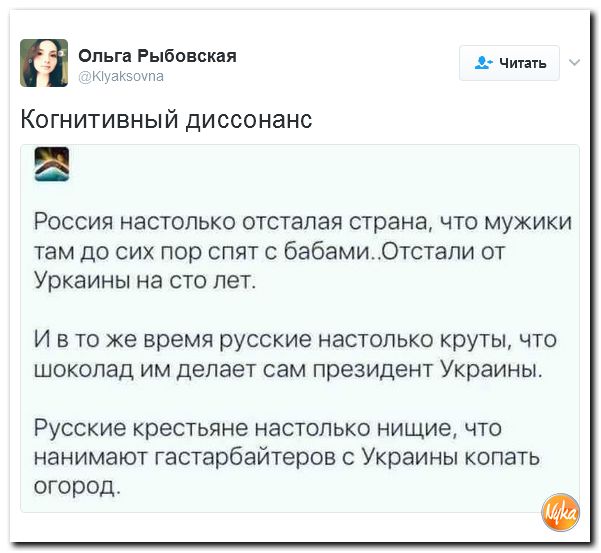 "Мыздобулы" в картинках. Смешных и не очень... 2-02-2017