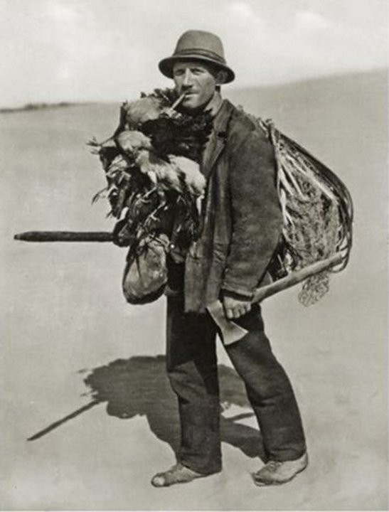 Кусатели ворон или как ловили птиц на Куршской косе Кусатели ворон или как ловили птиц на Куршской косе