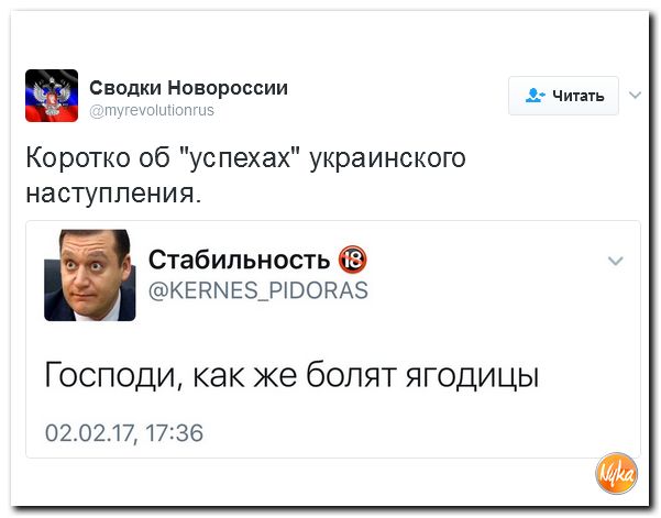 "Мыздобулы" в картинках. Смешных и не очень... 3-02-2017