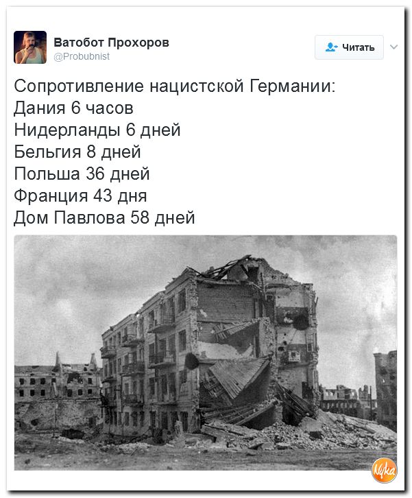 "Мыздобулы" в картинках. Смешных и не очень... 3-02-2017