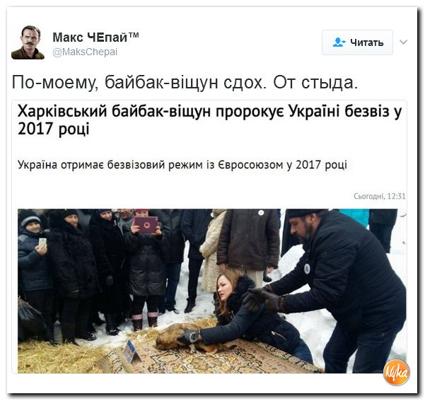 "Мыздобулы" в картинках. Смешных и не очень... 3-02-2017