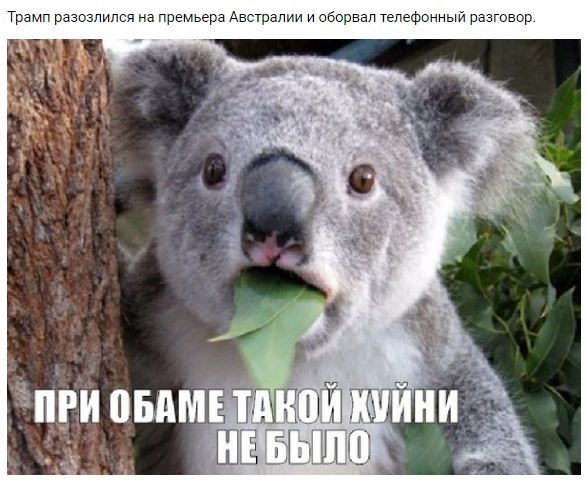 "Мыздобулы" в картинках. Смешных и не очень... 3-02-2017