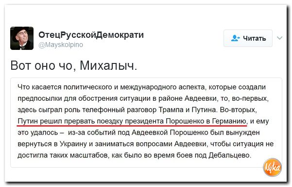 "Мыздобулы" в картинках. Смешных и не очень... 3-02-2017