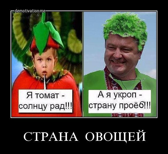 "Мыздобулы" в картинках. Смешных и не очень... 3-02-2017