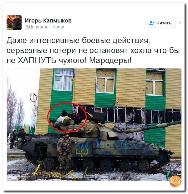 "Мыздобулы" в картинках. Смешных и не очень... 3-02-2017