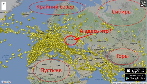 "Мыздобулы" в картинках. Смешных и не очень... 4-02-2017