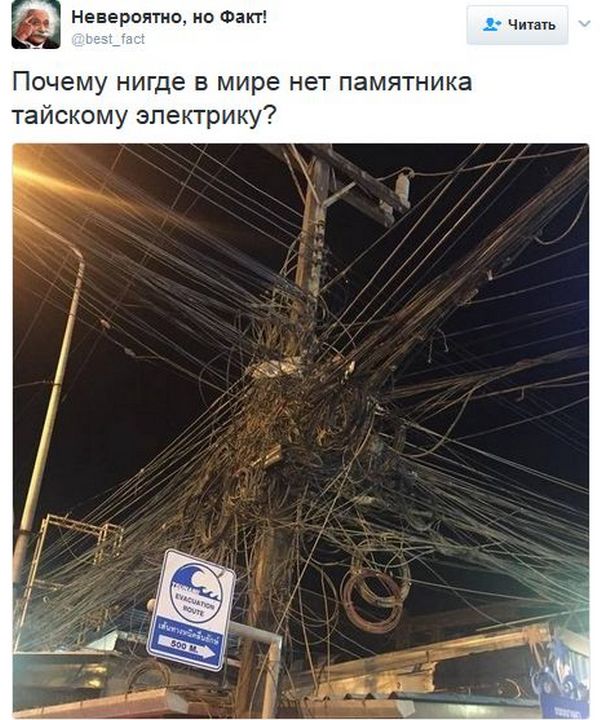 "Мыздобулы" в картинках. Смешных и не очень... 4-02-2017