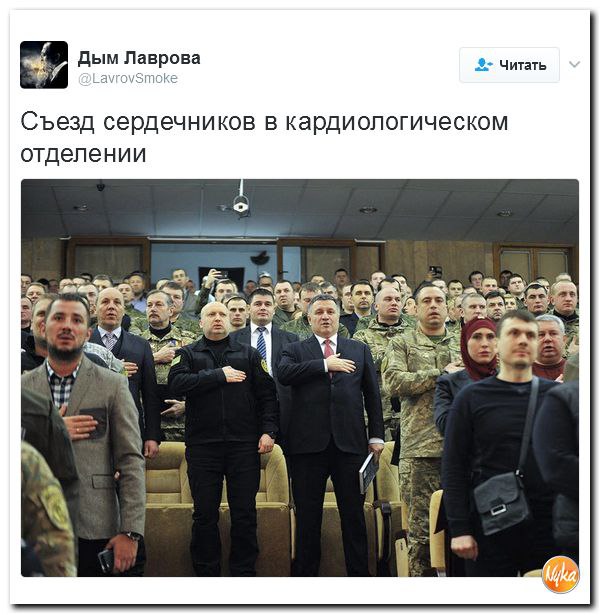 "Мыздобулы" в картинках. Смешных и не очень... 4-02-2017