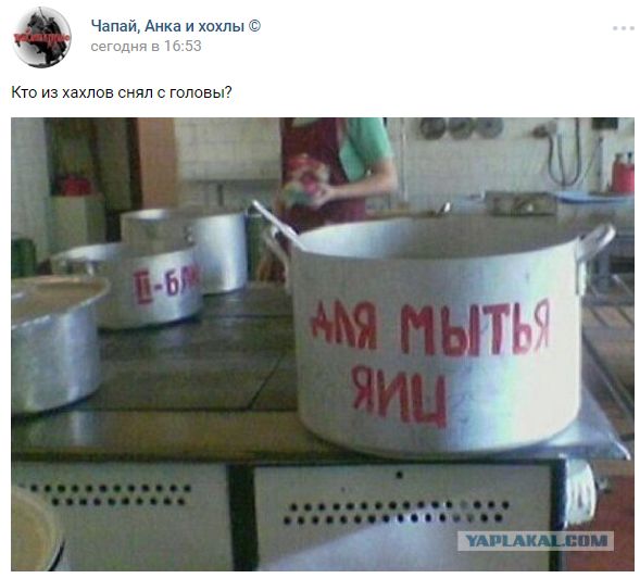 "Мыздобулы" в картинках. Смешных и не очень... 5-02-2017