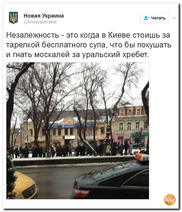 "Мыздобулы" в картинках. Смешных и не очень... 5-02-2017