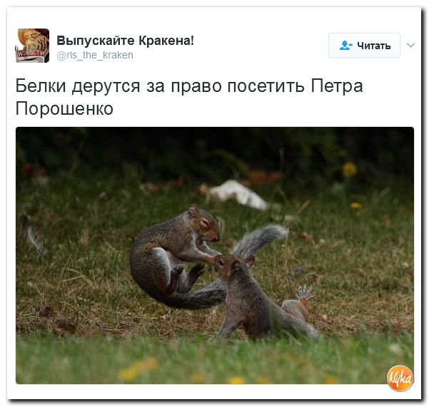 "Мыздобулы" в картинках. Смешных и не очень... 5-02-2017