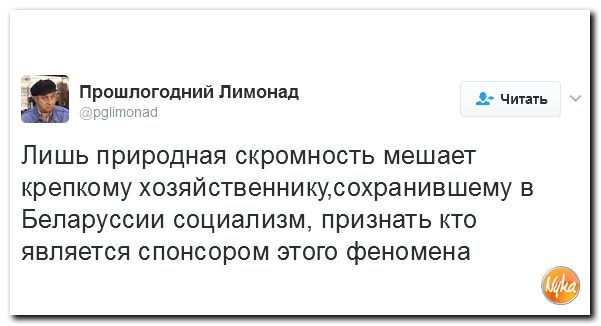 "Мыздобулы" в картинках. Смешных и не очень... 5-02-2017