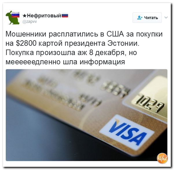 "Мыздобулы" в картинках. Смешных и не очень... 5-02-2017