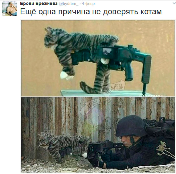 "Мыздобулы" в картинках. Смешных и не очень... 5-02-2017