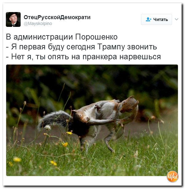 "Мыздобулы" в картинках. Смешных и не очень... 5-02-2017